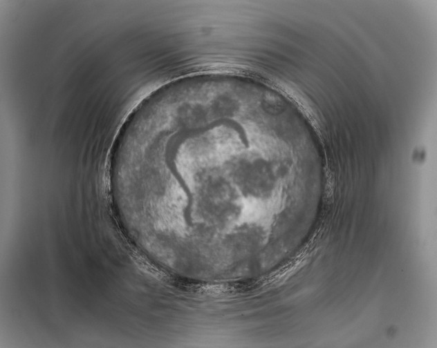 X0000100230883200806131334