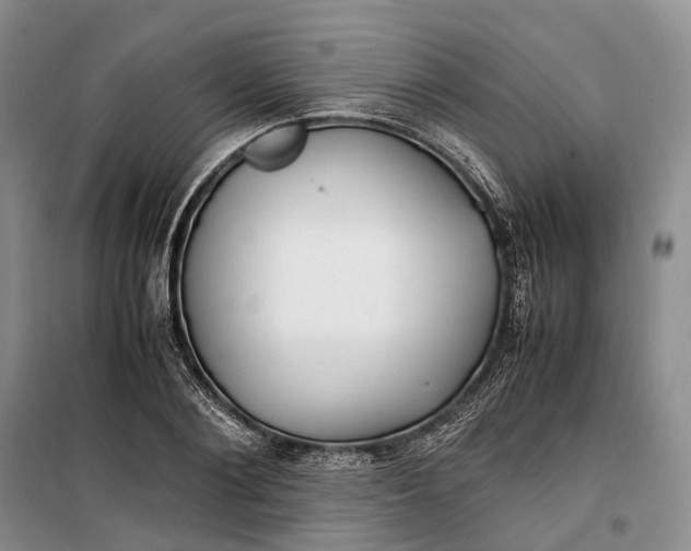 X0000100230884200806131334