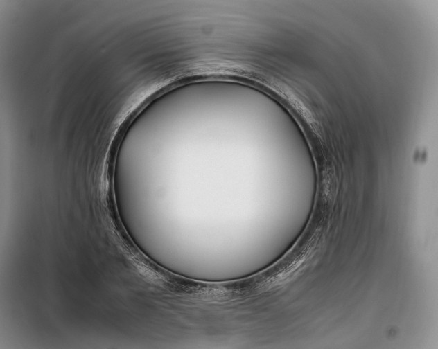 X0000100230885200806131334