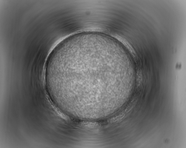 X0000100230886200806131334