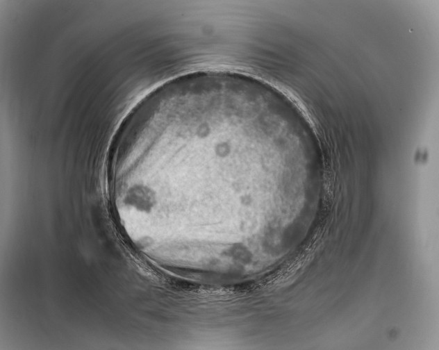 X0000100230887200806131334