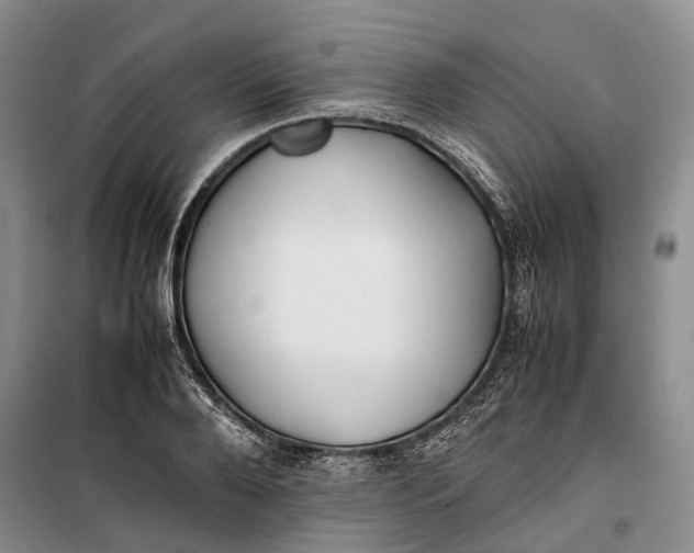 X0000100230888200806131334