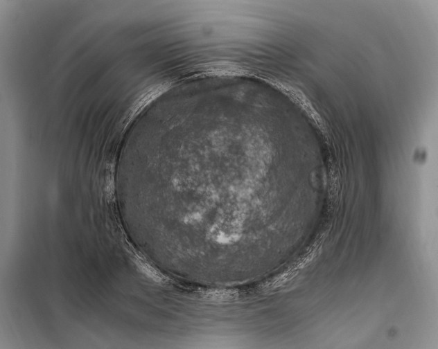 X0000100230889200806131334