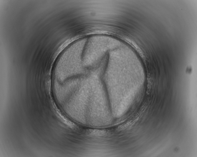 X0000100230890200806131334