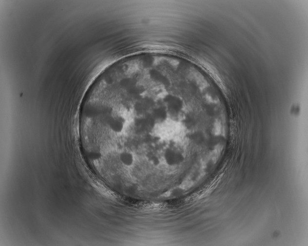 X0000100230891200806131334