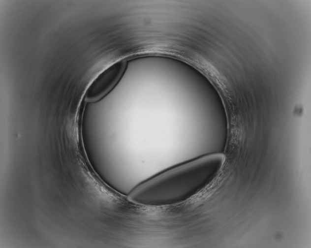 X0000100230892200806131334