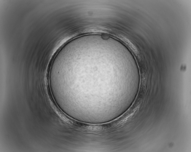 X0000100230893200806131334