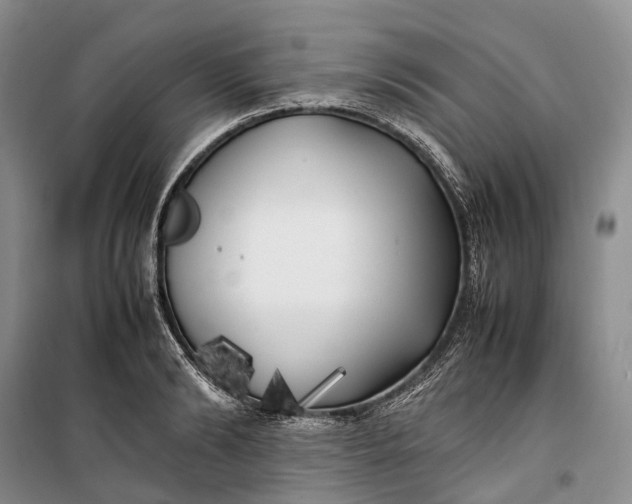 X0000100230894200806131333