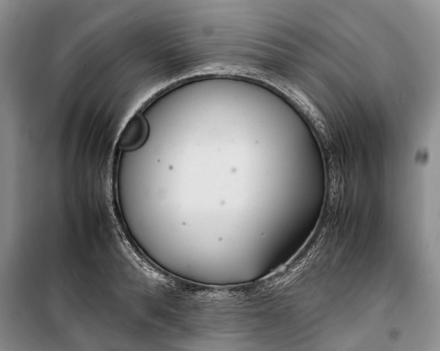 X0000100230896200806131333