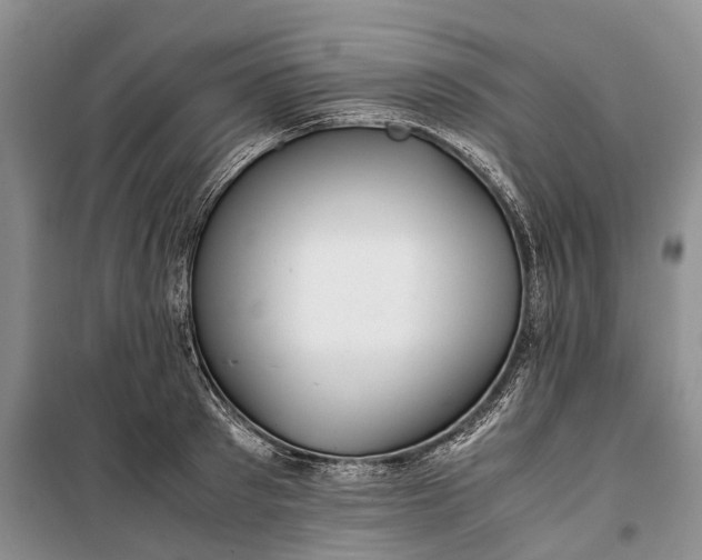 X0000100230897200806131333