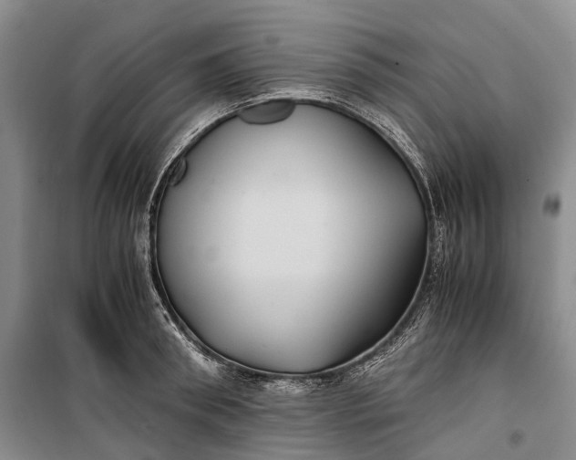 X0000100230898200806131333