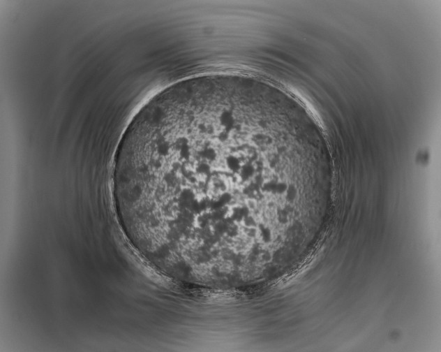 X0000100230899200806131333