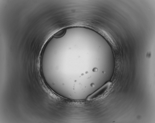 X0000100230900200806131333