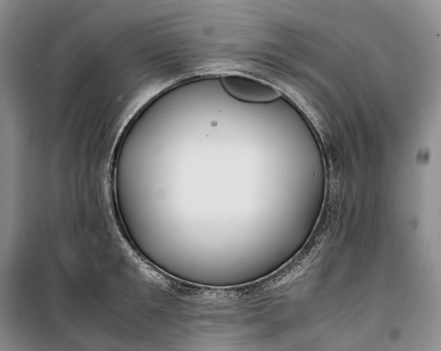 X0000100230901200806131333