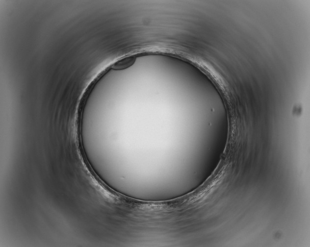 X0000100230902200806131333