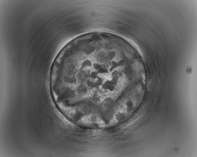 X0000100230903200806131333