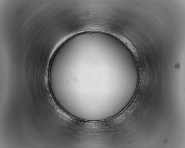 X0000100230904200806131333