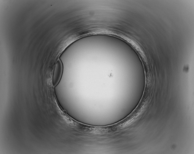 X0000100230905200806131333