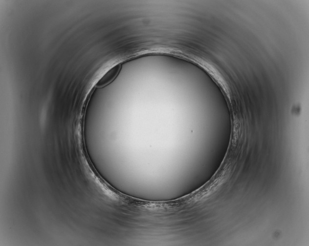 X0000100230906200806131333