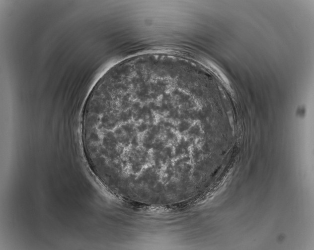 X0000100230907200806131333