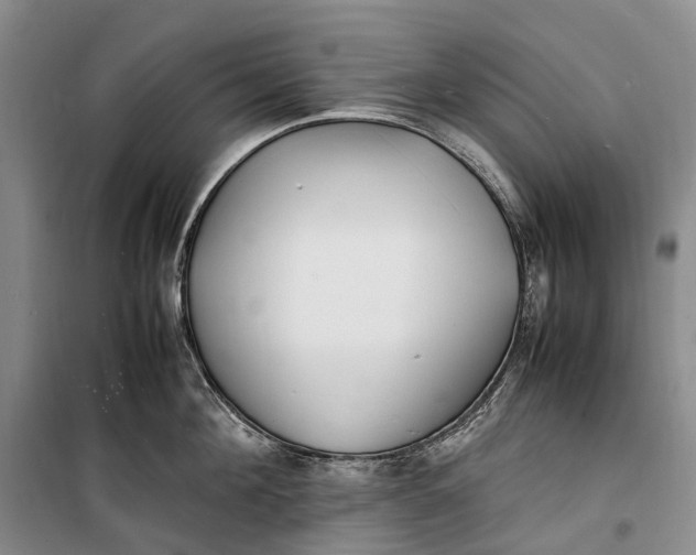 X0000100230908200806131333