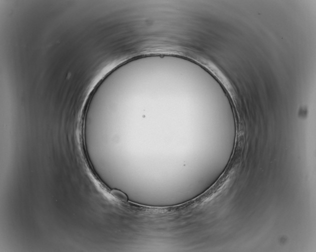 X0000100230909200806131333