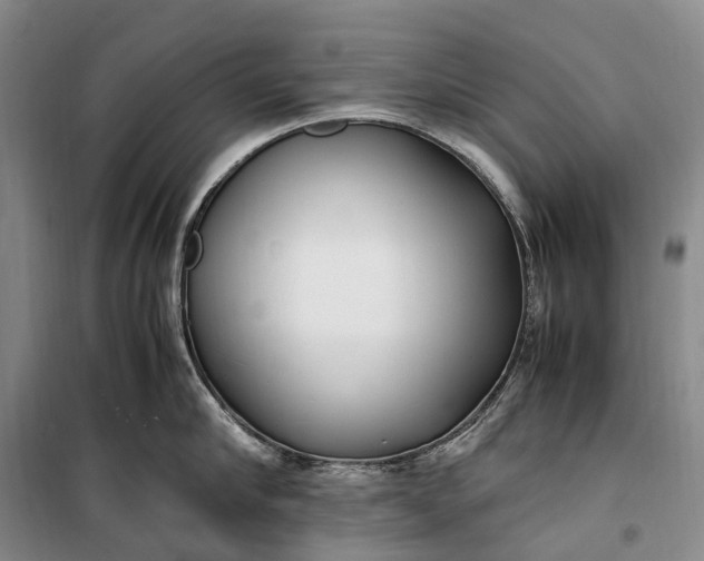 X0000100230910200806131333