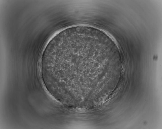 X0000100230911200806131333