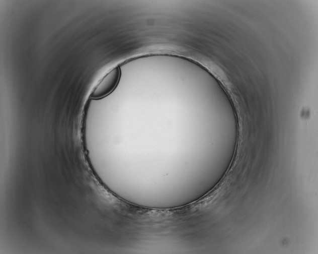 X0000100230912200806131333