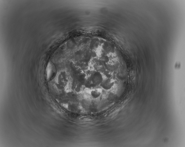 X0000100230913200806131333