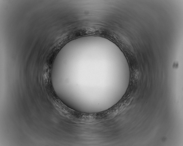 X0000100230914200806131333