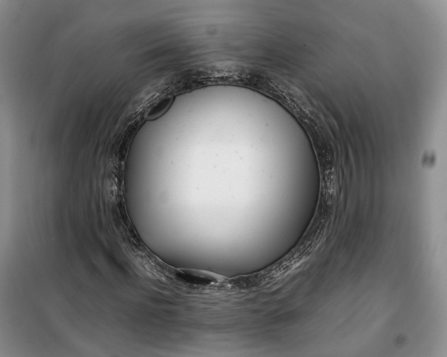 X0000100230916200806131333