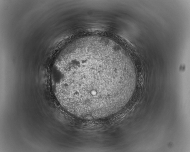 X0000100230917200806131333