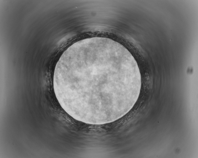 X0000100230918200806131333