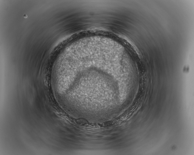 X0000100230919200806131333