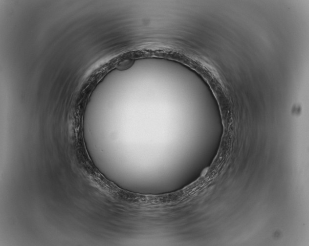 X0000100230920200806131333