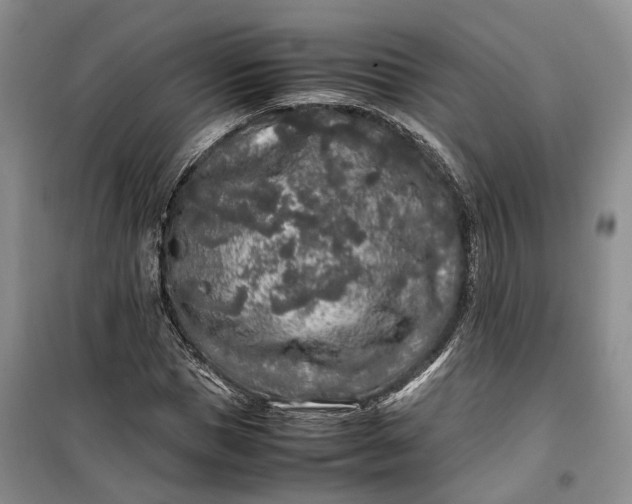 X0000100230921200806131333