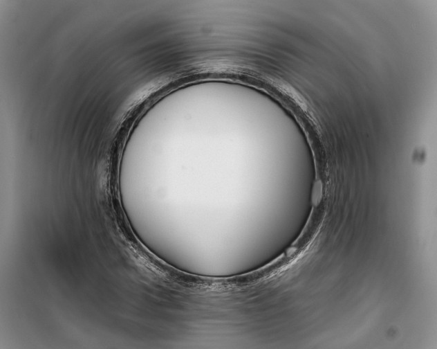 X0000100230922200806131333