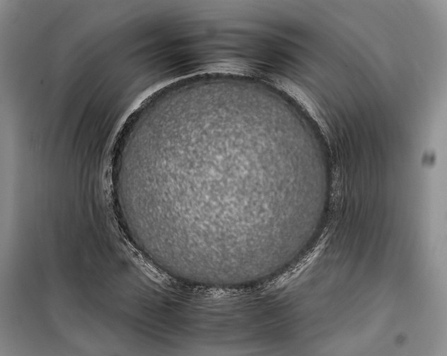 X0000100230923200806131333