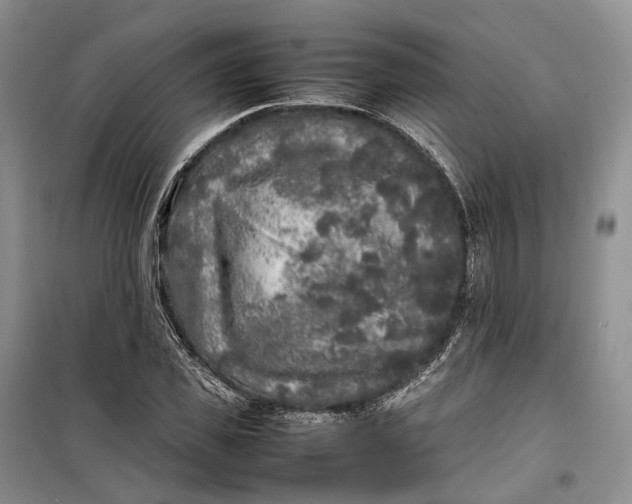 X0000100230925200806131333