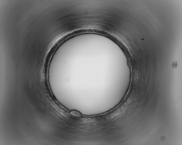 X0000100230927200806131333