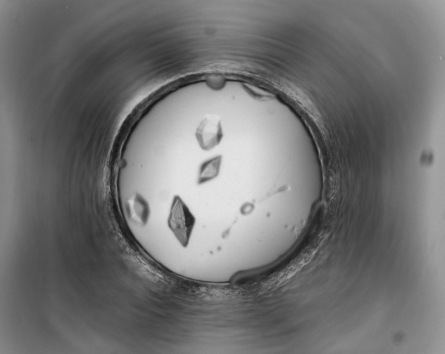 X0000100230928200806131333