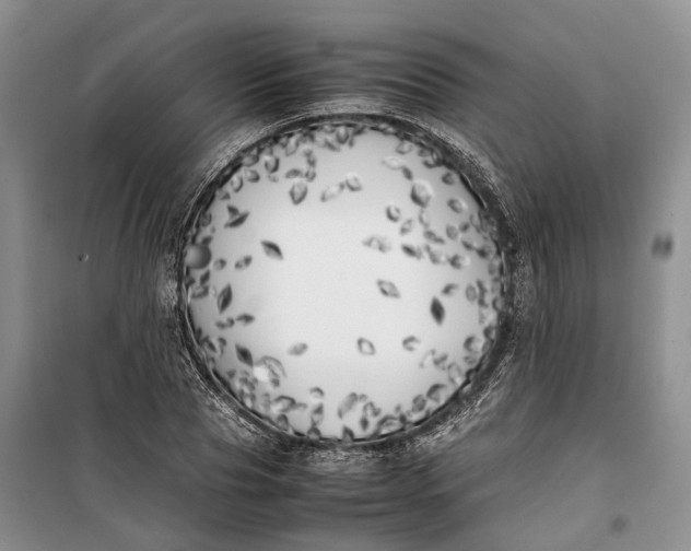 X0000100230929200806131333