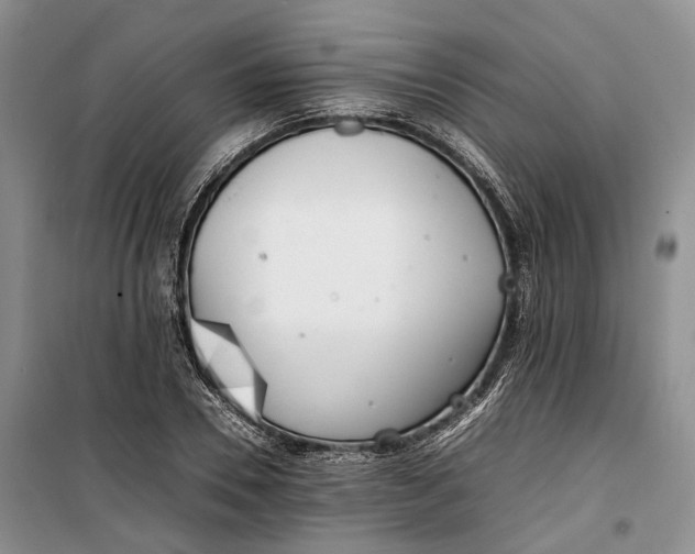 X0000100230930200806131333