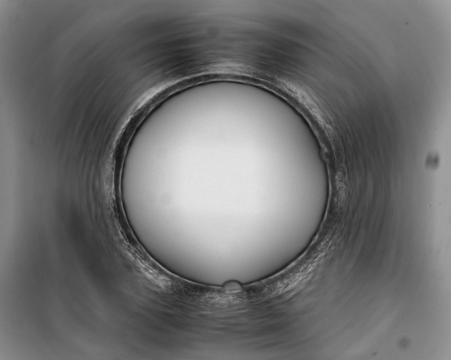 X0000100230931200806131333