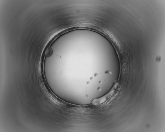 X0000100230932200806131333