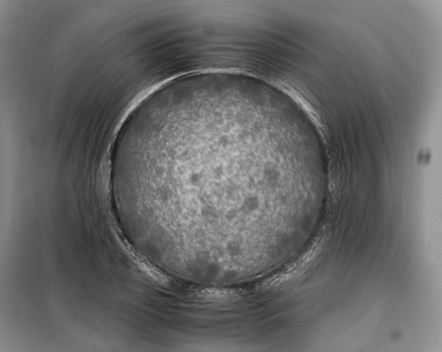 X0000100230933200806131333