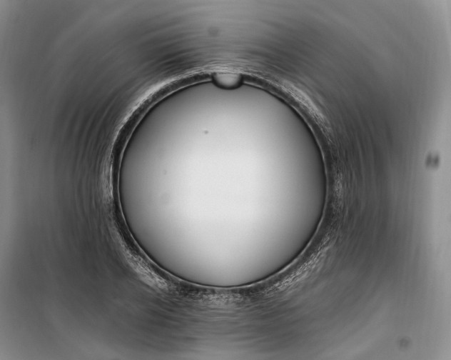 X0000100230934200806131333