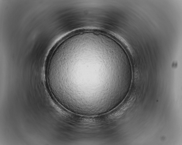 X0000100230935200806131333