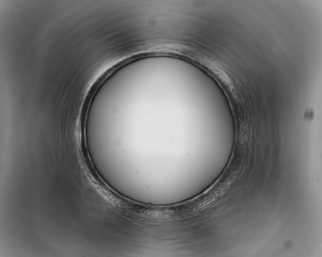 X0000100230936200806131333